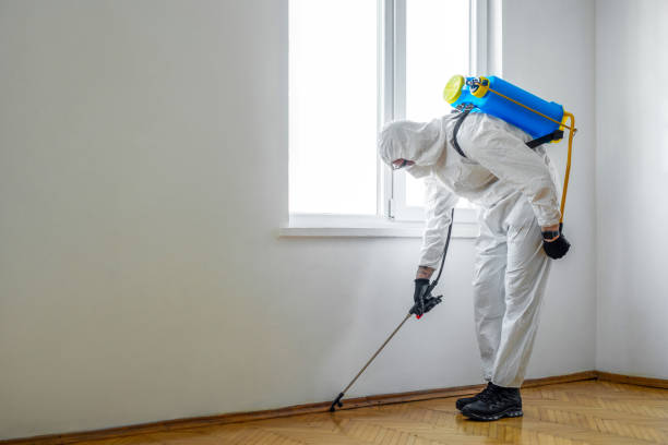 Best Pest Prevention Services  in Morganville, NJ